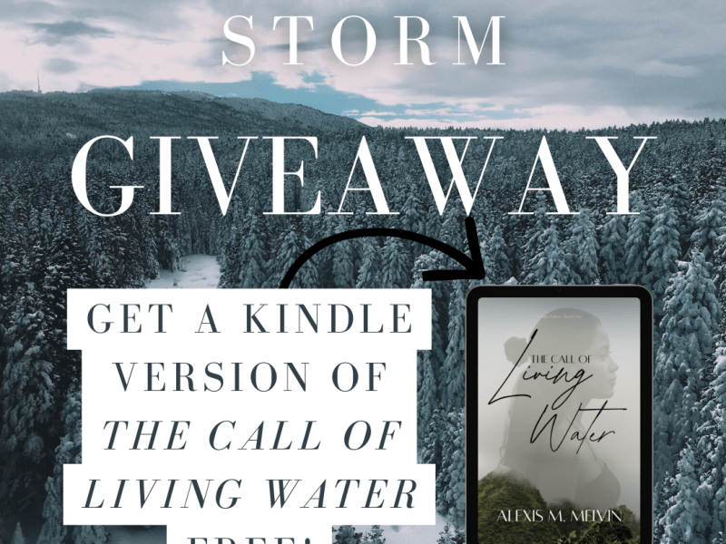 Winter Storm Giveaway!