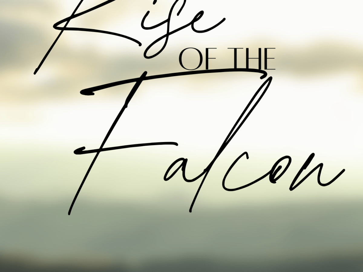 Launch Team Application&nbsp;Open!